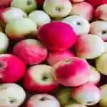 Small Apple With Red Side