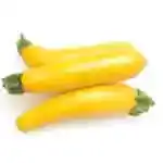 Large Yellow Zucchini