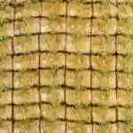 Pistachio Fingers Baklava