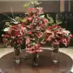 Table Flower