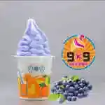 Blueberry Ice Cream