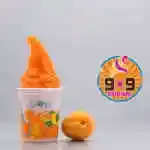 Apricot Ice Cream