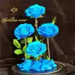 A glass bell containing a Forever rose