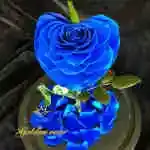 A glass bell containing a Forever rose