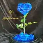 A glass bell containing a Forever rose