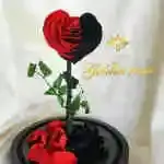 A glass bell containing a Forever rose