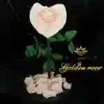 A glass bell containing a Forever rose