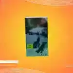 حامل الهاتف