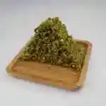 Pistachio Delight