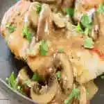 Chicken Alfredo Meal