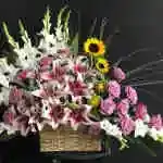Basket Flower