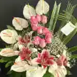Basket Flower