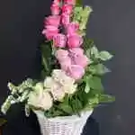 Basket Flower