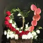 Basket Flower