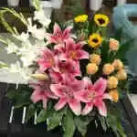 Basket Flower