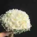 Bouquet Flower