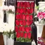 Box Flower