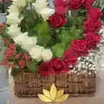 Basket Flower