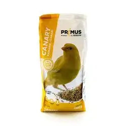 Food Birds