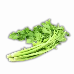 Celery