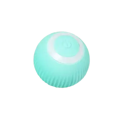 E482 Electric pet Ball Toys