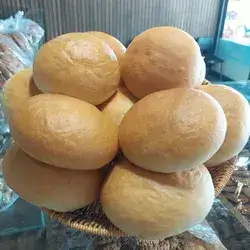 Circular Samoon