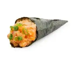 Special Salmon Temaki