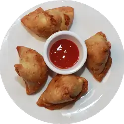 Samosa 10 Pieces