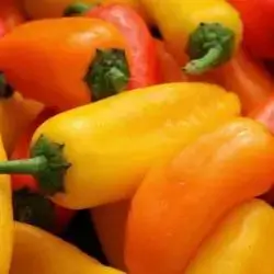 Long Colored Pepper