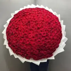 Bouquet