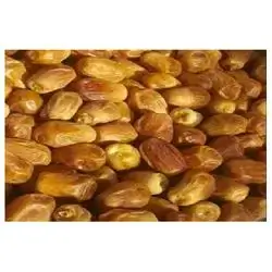 Zuhdi Date Kg