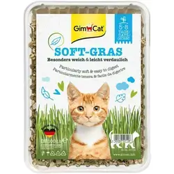 Cat Grass