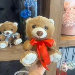 Cute Bear