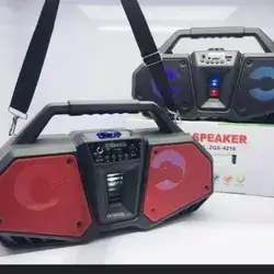 Speaker 4216