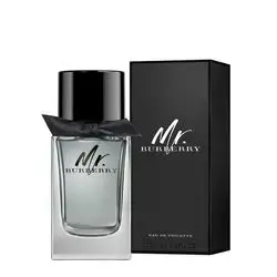 Mr. Burberry men