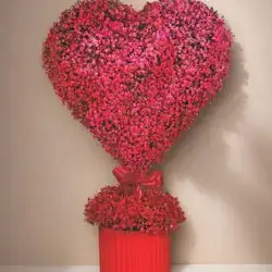 Flowers Box