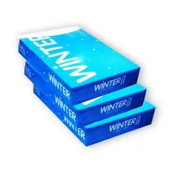 Winter paper 500