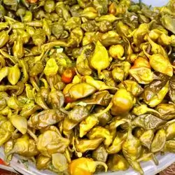 Sweet Iraqi Pepper