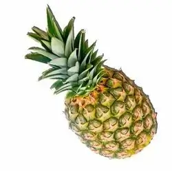 Pineapple 1 Pcs