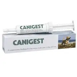 Canigest Probiotic Paste