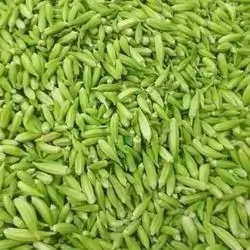 بامێ ٥٠٠ گم 