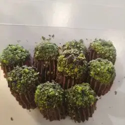 Petit Four With Pistachio