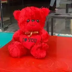 Teddy