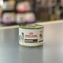 Royal Canin Recovery For Cats & Dogs 195g