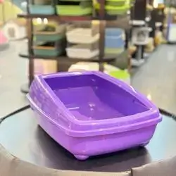 Cat Open Litter Box