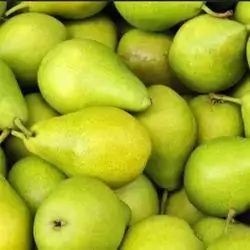 Turkish Pear