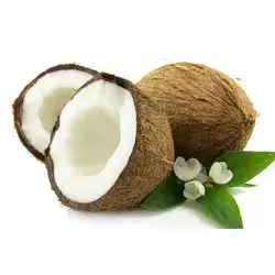 Coconut