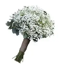 Bridal Gypsum Bouquet