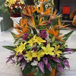 Basket Of Flowers