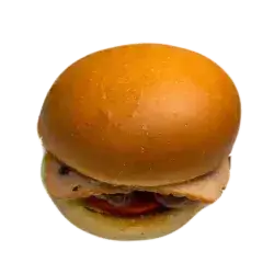 Turkey Beef Burger